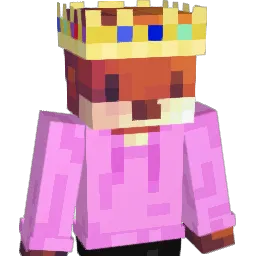 ninja0565 Minecraft avatar bust