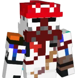ninja20096 Minecraft avatar bust