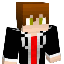 ninja30411 Minecraft avatar bust