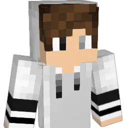 ninja54046 Minecraft avatar bust