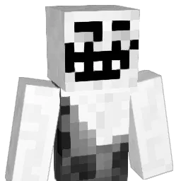 ninjacolorido14 Minecraft avatar bust