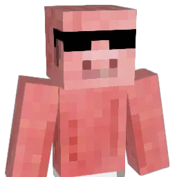 ninjadance Minecraft avatar bust