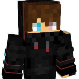 ninjadon8 Minecraft avatar bust