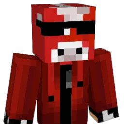 ninjagutt8 Minecraft avatar bust