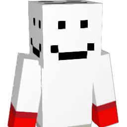 ninjaigor Minecraft avatar bust