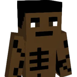 ninjajacob1007 Minecraft avatar bust