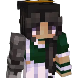 ninjakidRS21 Minecraft avatar bust