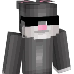 ninjaleothe800th