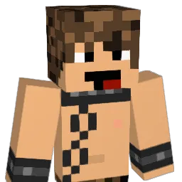 ninjamdw Minecraft avatar bust