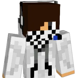 ninjamonkey2008 Minecraft avatar bust