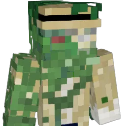 Minecraft-Avatar von ninjanator8: Büste