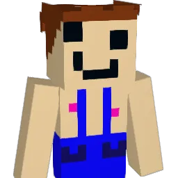 ninjanerd597 Minecraft avatar bust
