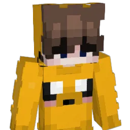 ninjann200 Minecraft avatar bust