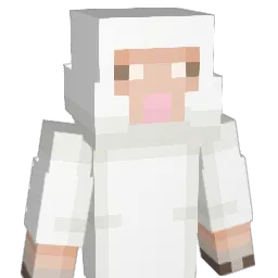 ninjapaint12 Minecraft avatar bust