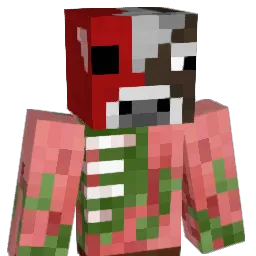 nintendite Minecraft avatar bust