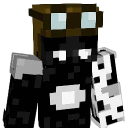 nip_les Minecraft avatar bust