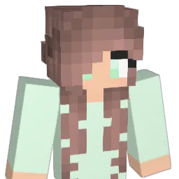 nisl10 Minecraft avatar bust