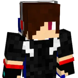 nislow_w Minecraft avatar bust