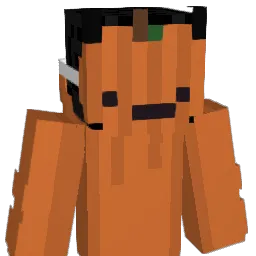 niuton30 Minecraft avatar bust
