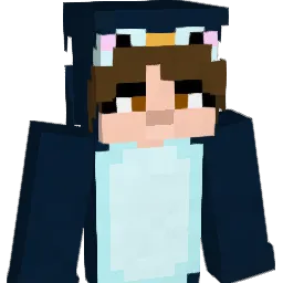 njsjsj's Minecraft skin