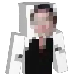 njw9898 Minecraft avatar bust