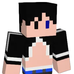 nkDash Minecraft avatar bust