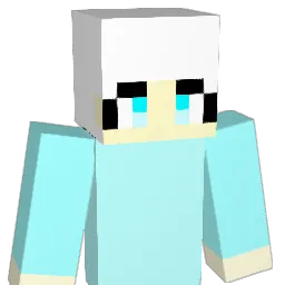 nki2001 Minecraft avatar bust