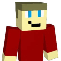 nkrs200 Minecraft avatar bust