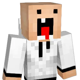 nl9313 Minecraft avatar bust