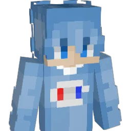 nlswa Minecraft avatar bust
