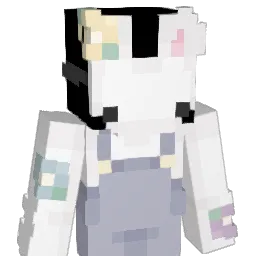 nmihdm's Minecraft skin