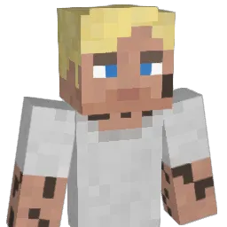 nn283 Minecraft avatar bust