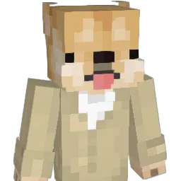 nnexag26 Minecraft avatar bust