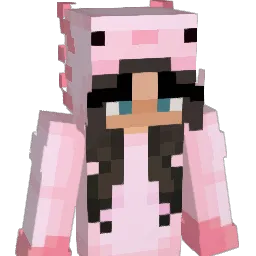 nnniki13's Minecraft skin