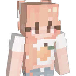 no0d1ez Minecraft avatar bust