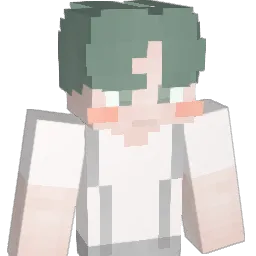 no__bot's Minecraft skin