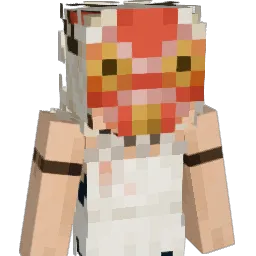 no_stunts Minecraft avatar bust