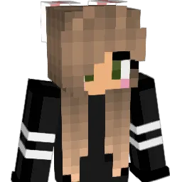 noaboboa Minecraft avatar bust