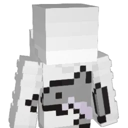 noafes20000 Minecraft avatar bust
