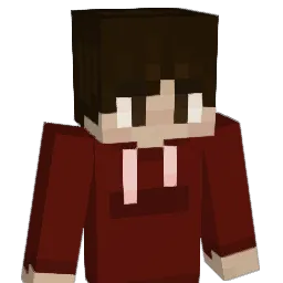 noah24884 Minecraft avatar bust