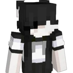 noahRAWRRRRRRRRR Minecraft avatar bust