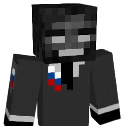 noahi_08 Minecraft avatar bust