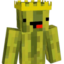 noahjc20082 Minecraft avatar bust