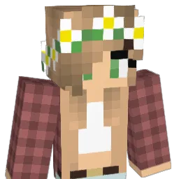 noahouli02 Minecraft avatar bust