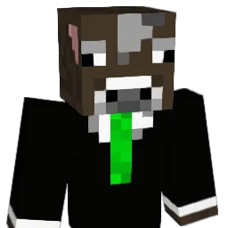 noahp409 Minecraft avatar bust