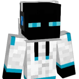 noahw2001 Minecraft avatar bust