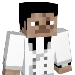 nobauer Minecraft avatar bust