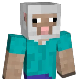 nobunnysapro Minecraft avatar bust