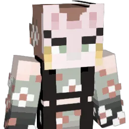 noeflan's Minecraft skin