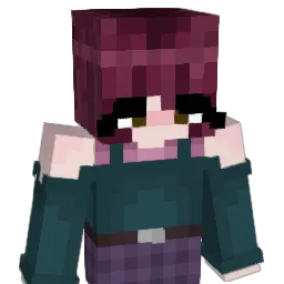 noel08fox Minecraft avatar bust
